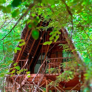 Resort Tree House Ambasewana